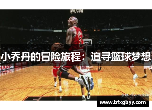 小乔丹的冒险旅程：追寻篮球梦想